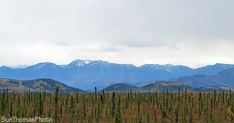 Wrangell-St. Elias Mountains