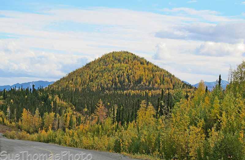 fall colours alaska highway