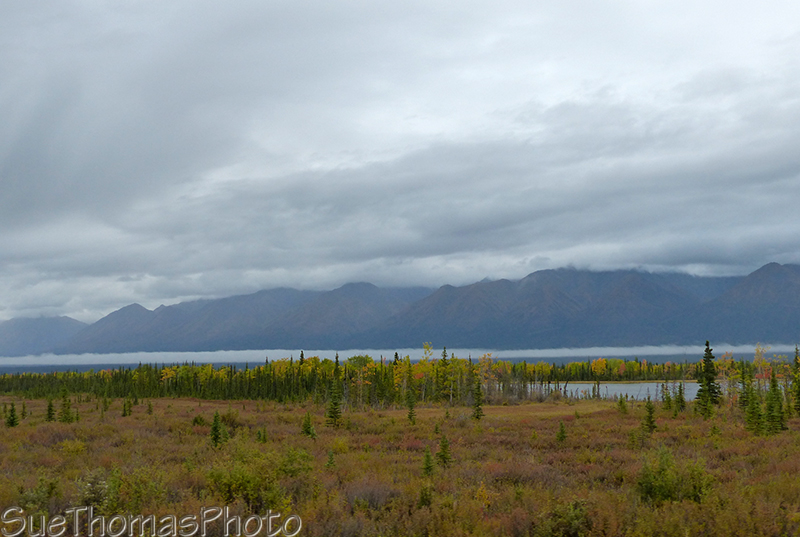 Looking west from the Alaska Highway