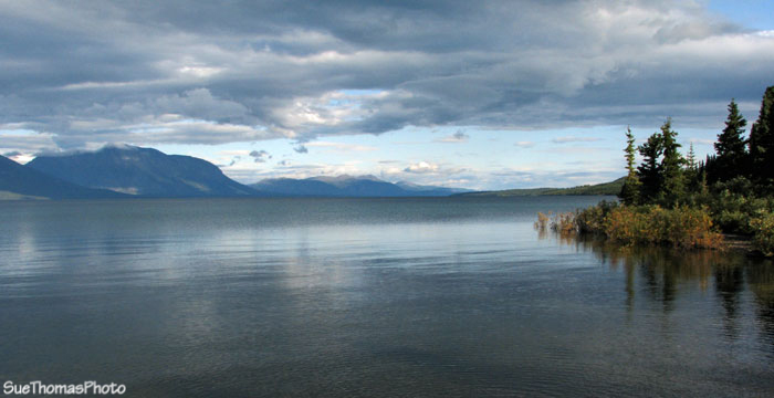 Atlin Lake viewed in the morning from Warm Bay, BC