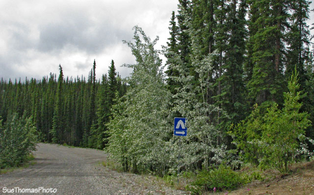 Road between Tatchun and Frenchman Lakes, Yukon