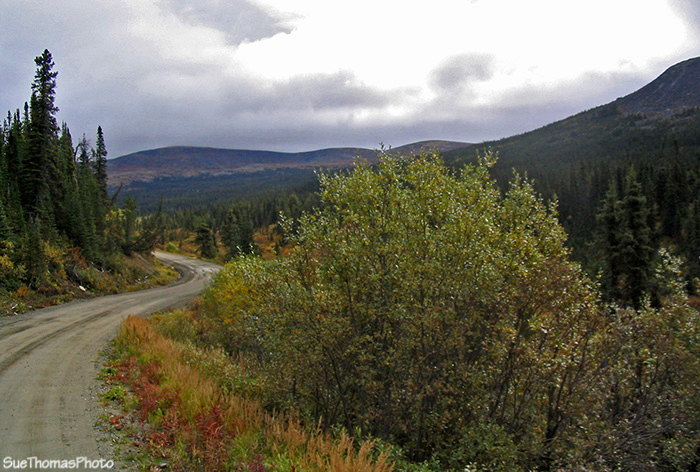 Northbound on the South Canol Road, Yukon