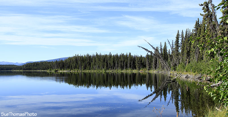 At Sidney Lake in Yukon on the South Canol Road