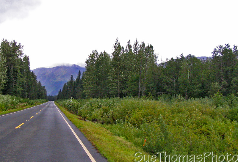 Cassiar Highway north of Meziadin Lake