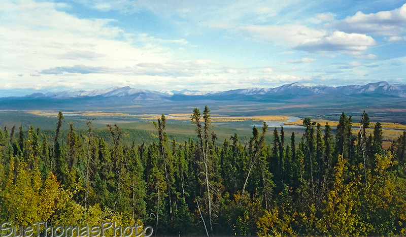 Camping in Yukon and Alaska