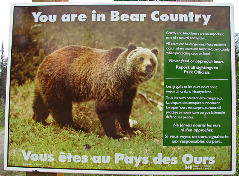 Grizzly bear warning at Kluane Park & Kathleen Lake