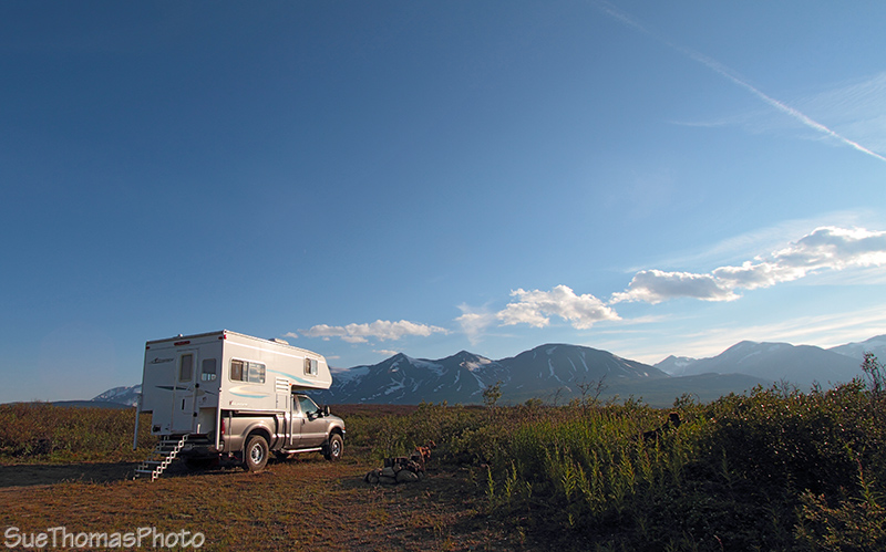 Haines Hwy campsite