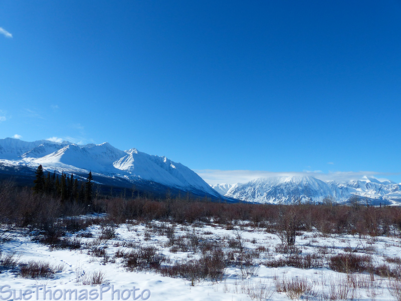 Kluane Ranges west of Haines Junction along the Haines Road
