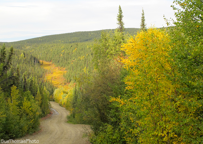Ethel Lake Road in Yukon