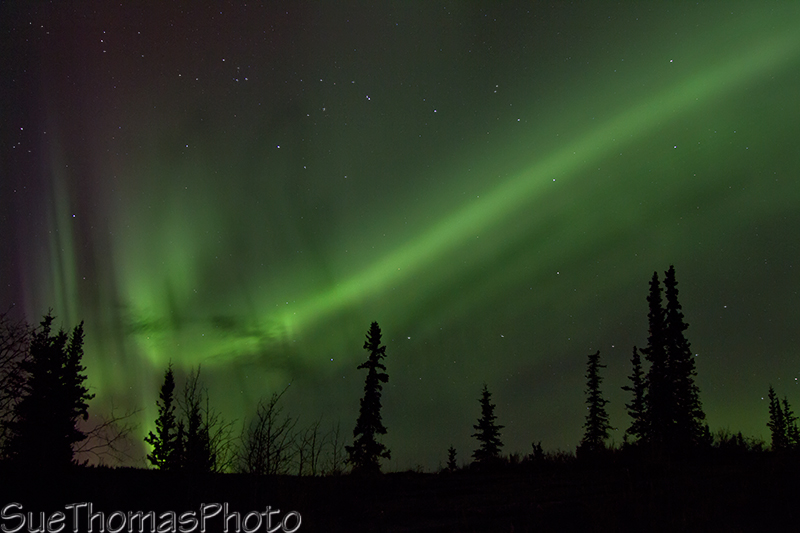 Northern Lights - Aurora Borealis in Yukon