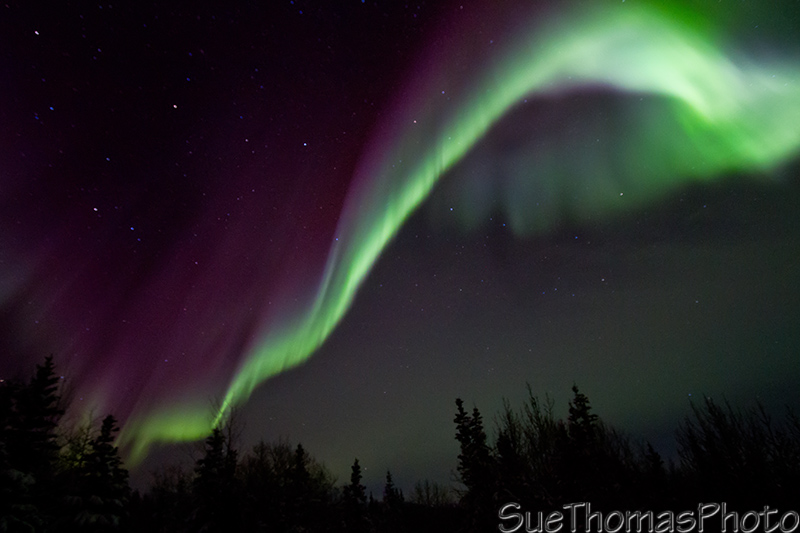 Aurora Borealis over Yukon