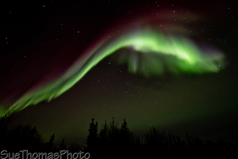 Aurora Borealis over Yukon