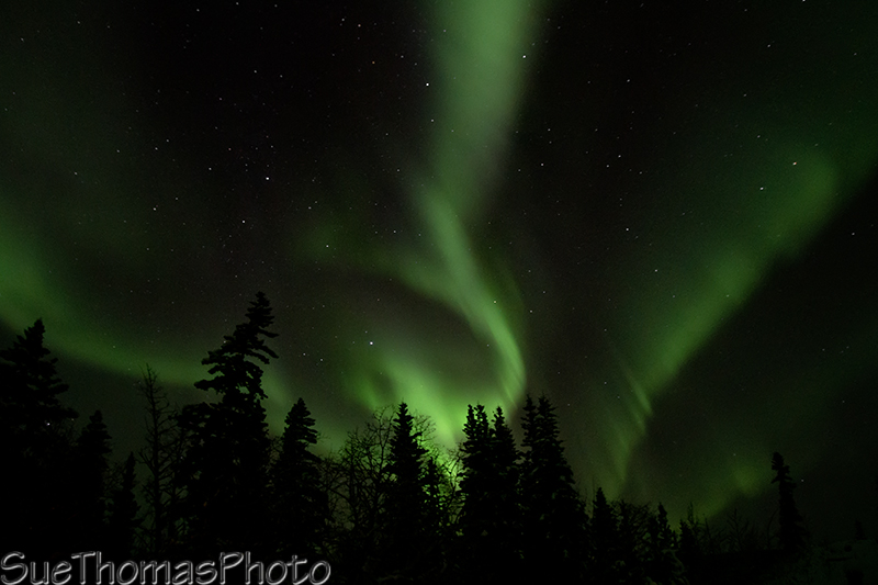 Northern Lights and Aurora Borealis over Yukon