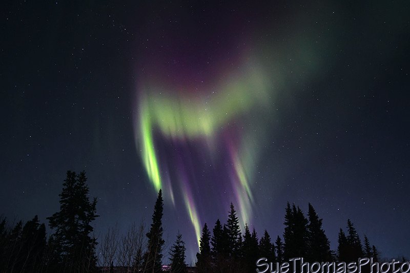 Northern Lights in March